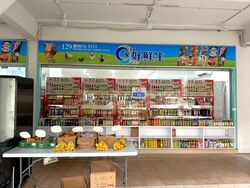 Geylang East Avenue 2 (D14), Shop House #572110851